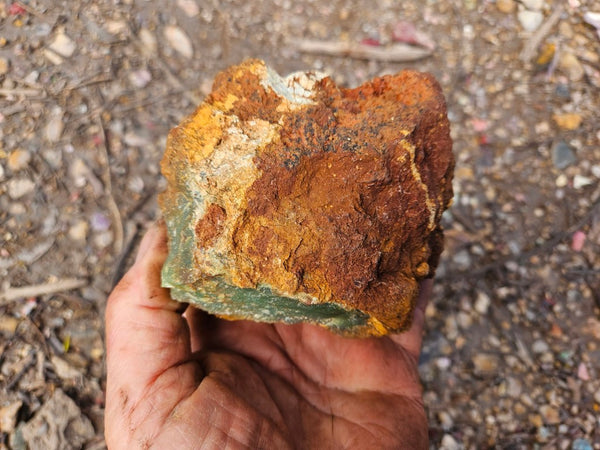 Chrysoprase rough.  CHR 219