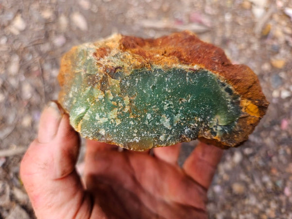 Chrysoprase rough.  CHR 219