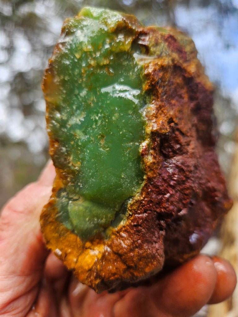 Chrysoprase rough.  CHR 219