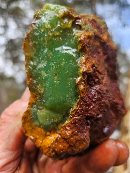 Chrysoprase rough.  CHR 219