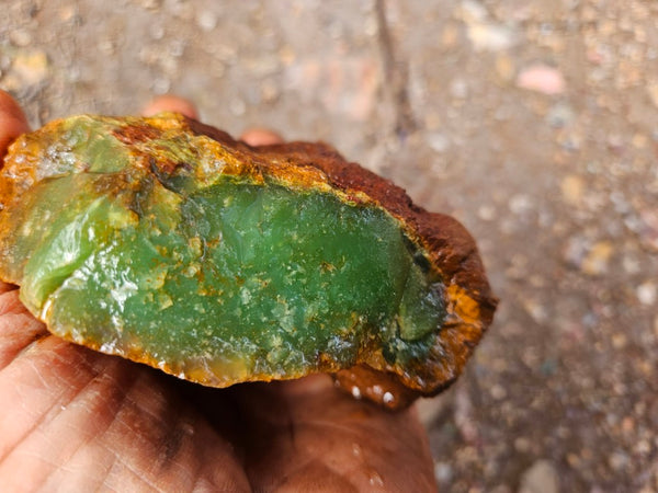 Chrysoprase rough.  CHR 219