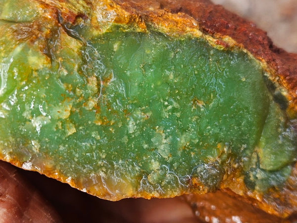 Chrysoprase rough.  CHR 219