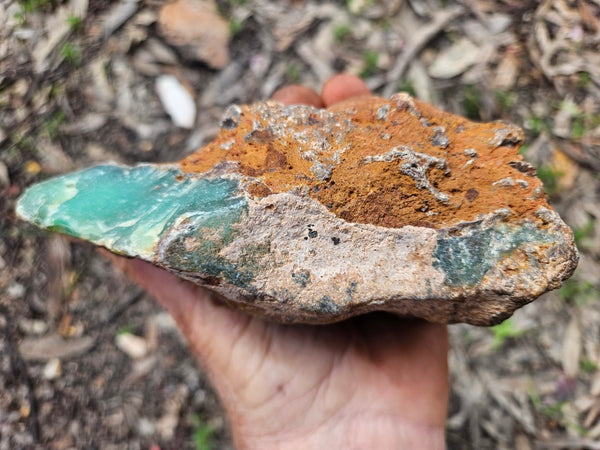 Chrysoprase rough.  CHR 220