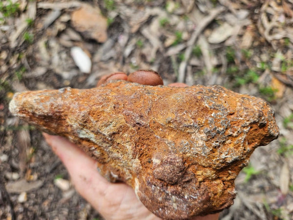 Chrysoprase rough.  CHR 220