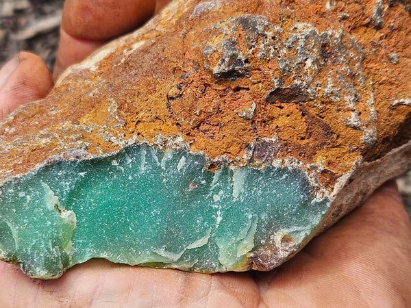 Chrysoprase rough.  CHR 220