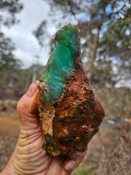 Chrysoprase rough.  CHR 220