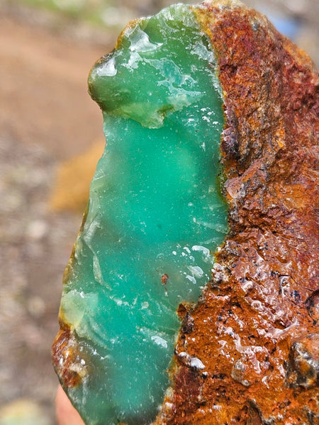 Chrysoprase rough.  CHR 220
