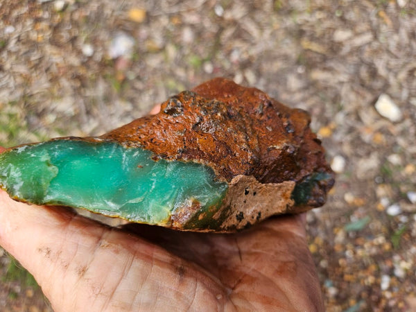 Chrysoprase rough.  CHR 220