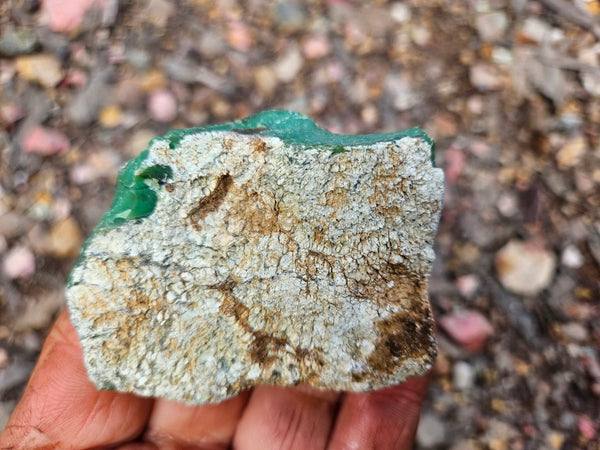 Chrysoprase rough.  CHR 223
