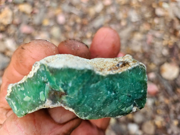 Chrysoprase rough.  CHR 223