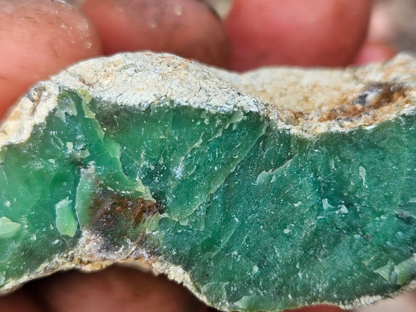 Chrysoprase rough.  CHR 223