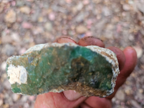 Chrysoprase rough.  CHR 223