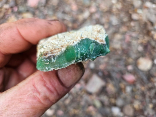 Chrysoprase rough.  CHR 223
