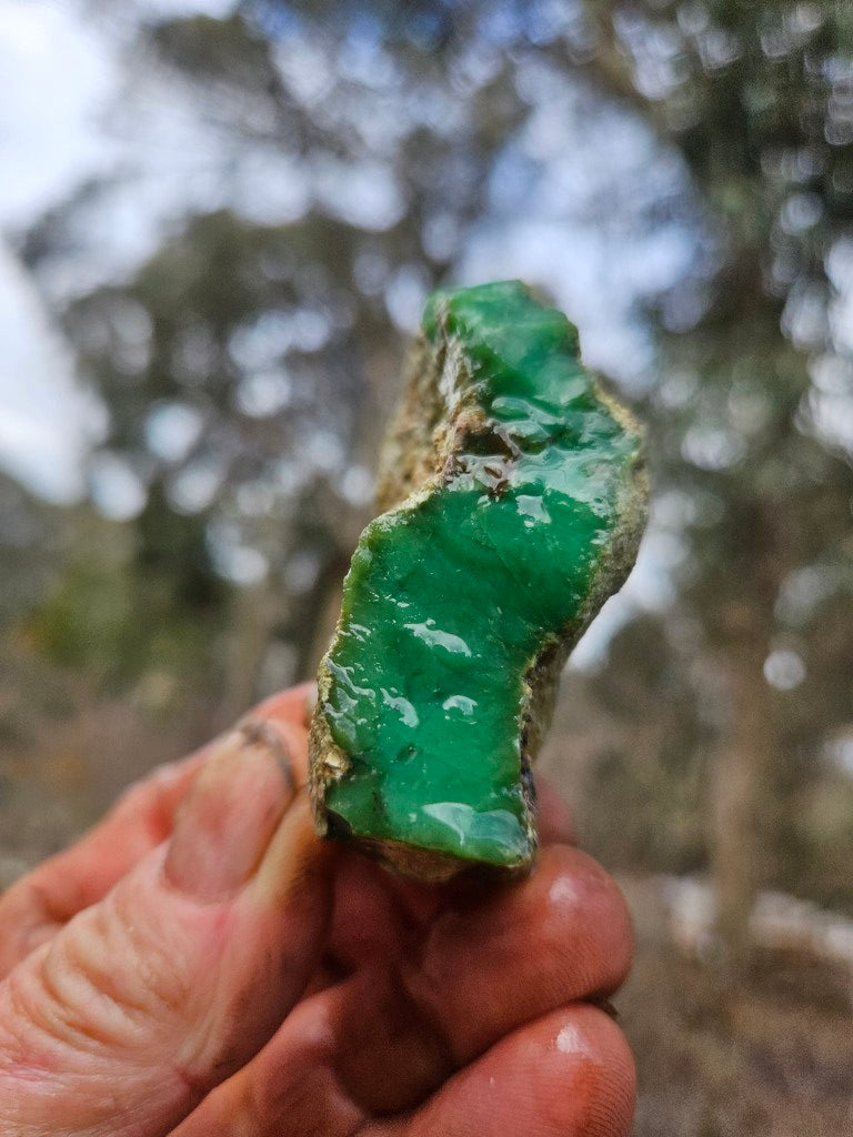 Chrysoprase rough.  CHR 223