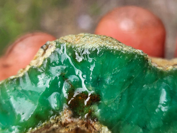 Chrysoprase rough.  CHR 223