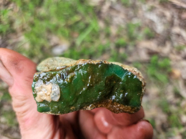 Chrysoprase rough.  CHR 223