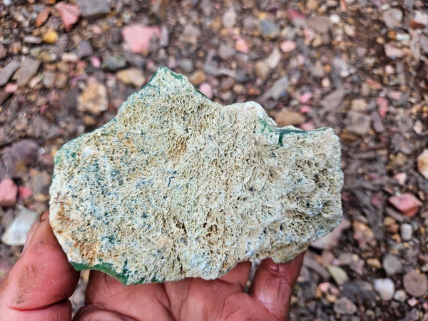 Chrysoprase rough.  CHR 222
