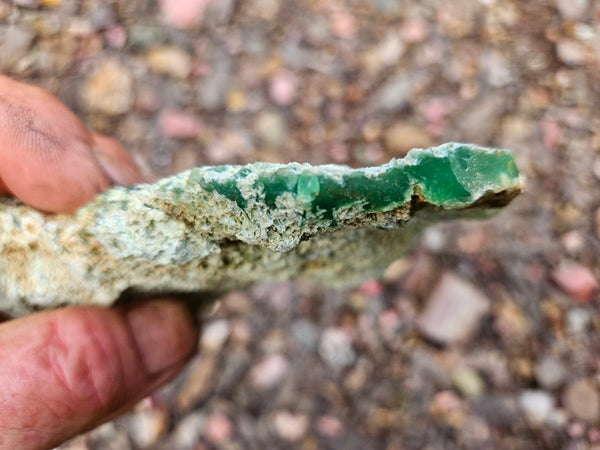 Chrysoprase rough.  CHR 222