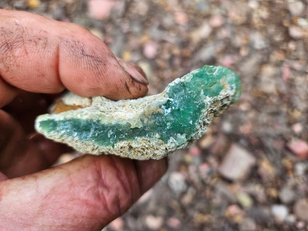 Chrysoprase rough.  CHR 222