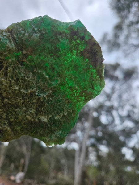 Chrysoprase rough.  CHR 222