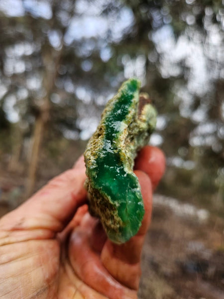 Chrysoprase rough.  CHR 222