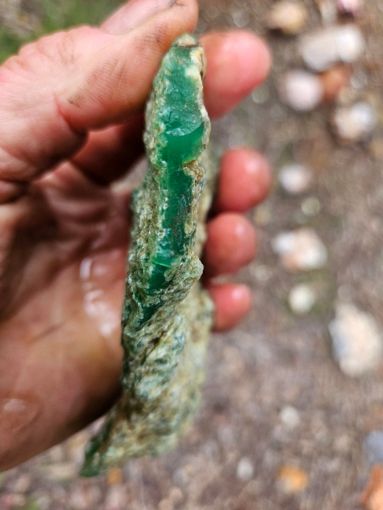 Chrysoprase rough.  CHR 222