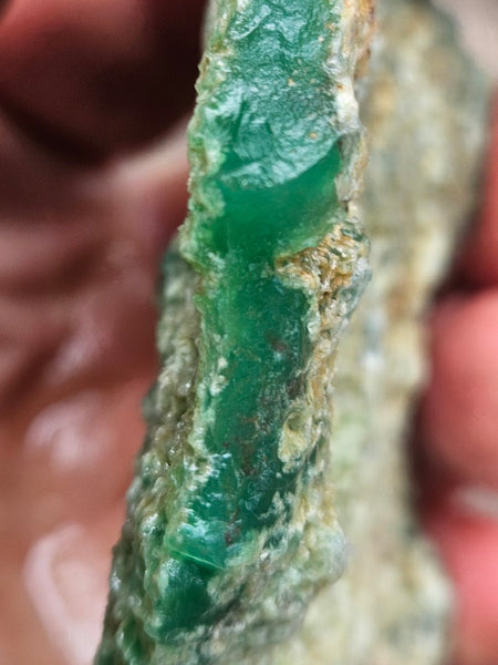 Chrysoprase rough.  CHR 222