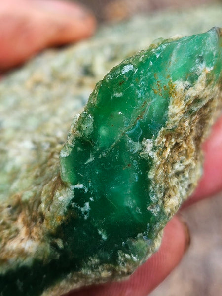 Chrysoprase rough.  CHR 222