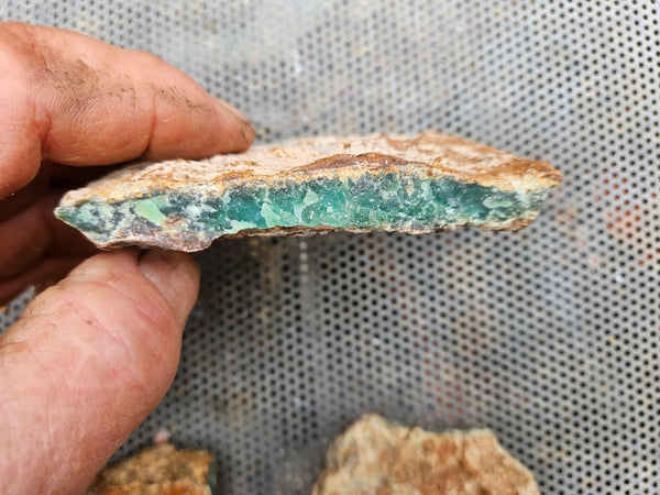 Chrysoprase rough.  CHR 221