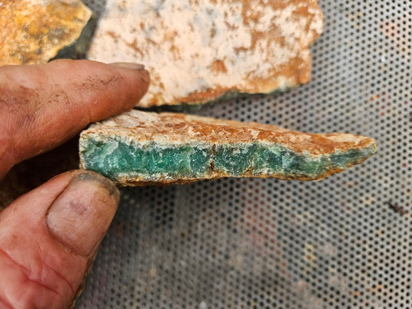 Chrysoprase rough.  CHR 221