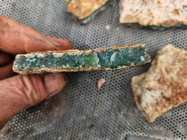 Chrysoprase rough.  CHR 221