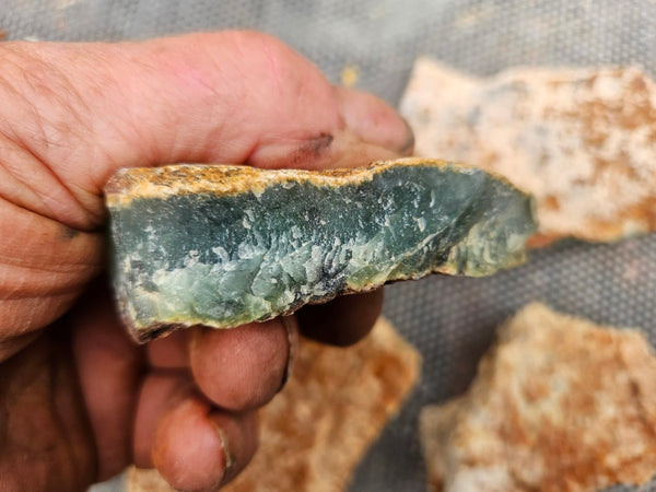 Chrysoprase rough.  CHR 221