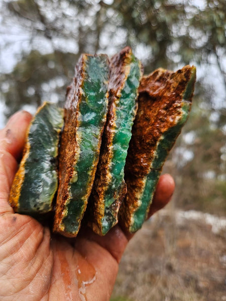 Chrysoprase rough.  CHR 221