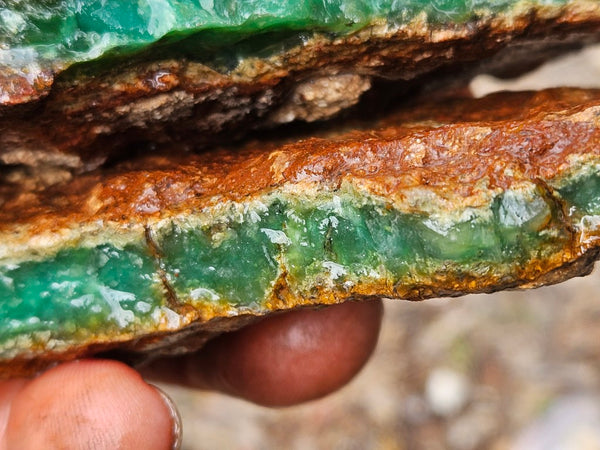 Chrysoprase rough.  CHR 221