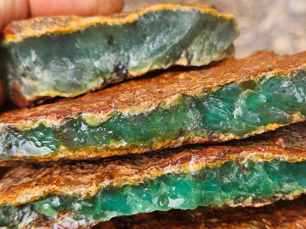 Chrysoprase rough.  CHR 221