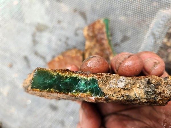 Chrysoprase rough.  CHR 221