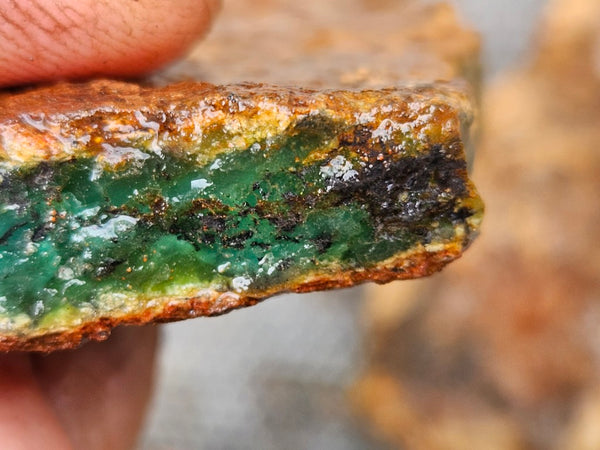 Chrysoprase rough.  CHR 221