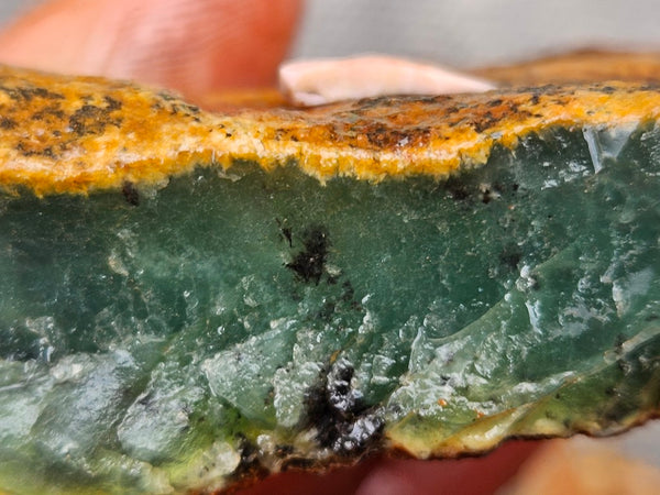 Chrysoprase rough.  CHR 221
