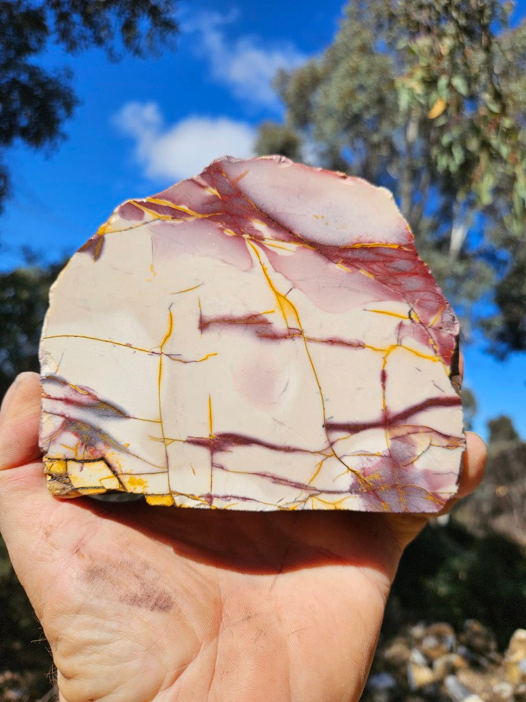 Polished Mookaite display specimen MK606