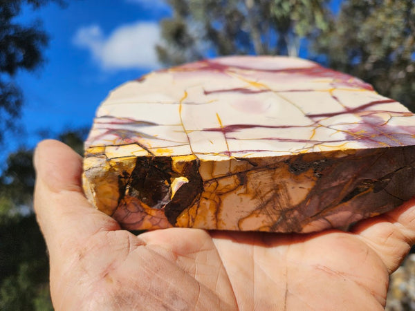 Polished Mookaite display specimen MK606