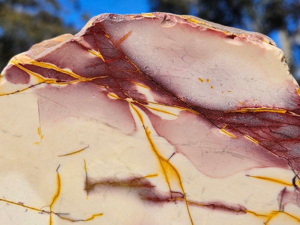 Polished Mookaite display specimen MK606