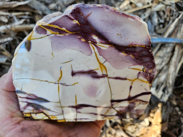 Polished Mookaite display specimen MK606