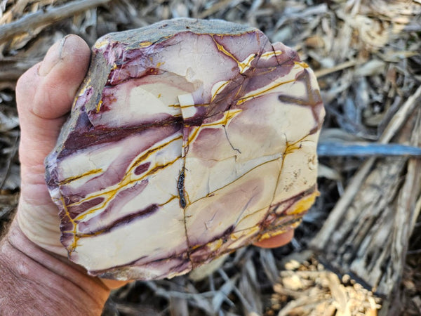 Polished Mookaite display specimen MK606
