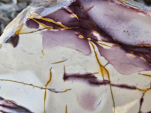 Polished Mookaite display specimen MK606