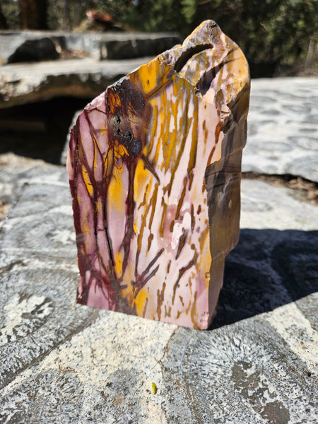 Polished Mookaite display specimen MK607