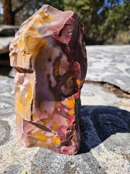 Polished Mookaite display specimen MK607