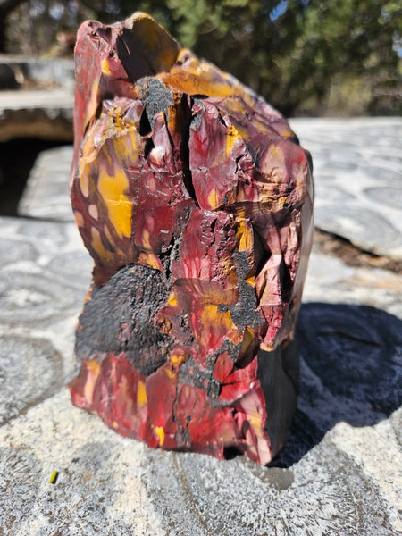 Polished Mookaite display specimen MK607