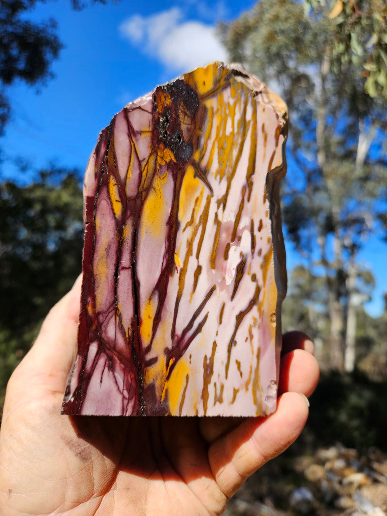 Polished Mookaite display specimen MK607