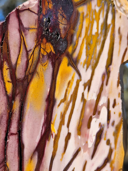 Polished Mookaite display specimen MK607
