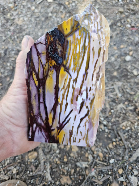 Polished Mookaite display specimen MK607